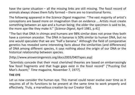 29154 Creation vs. Evolution Tract (20pager)
