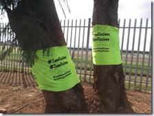 #SaveKidsLives on trees - They need the Gospel of Jesus Christ