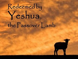 Redeemed by Yeshua, the Passover Lamb