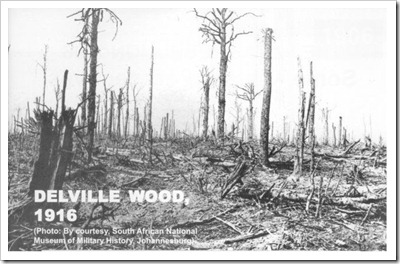 Delville-wood, 1916