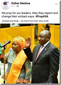 Dlamini-Zuma (l) and Ramaphosa (r)
