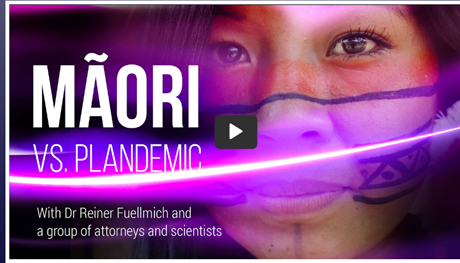 Maori vs. Plandemic video
